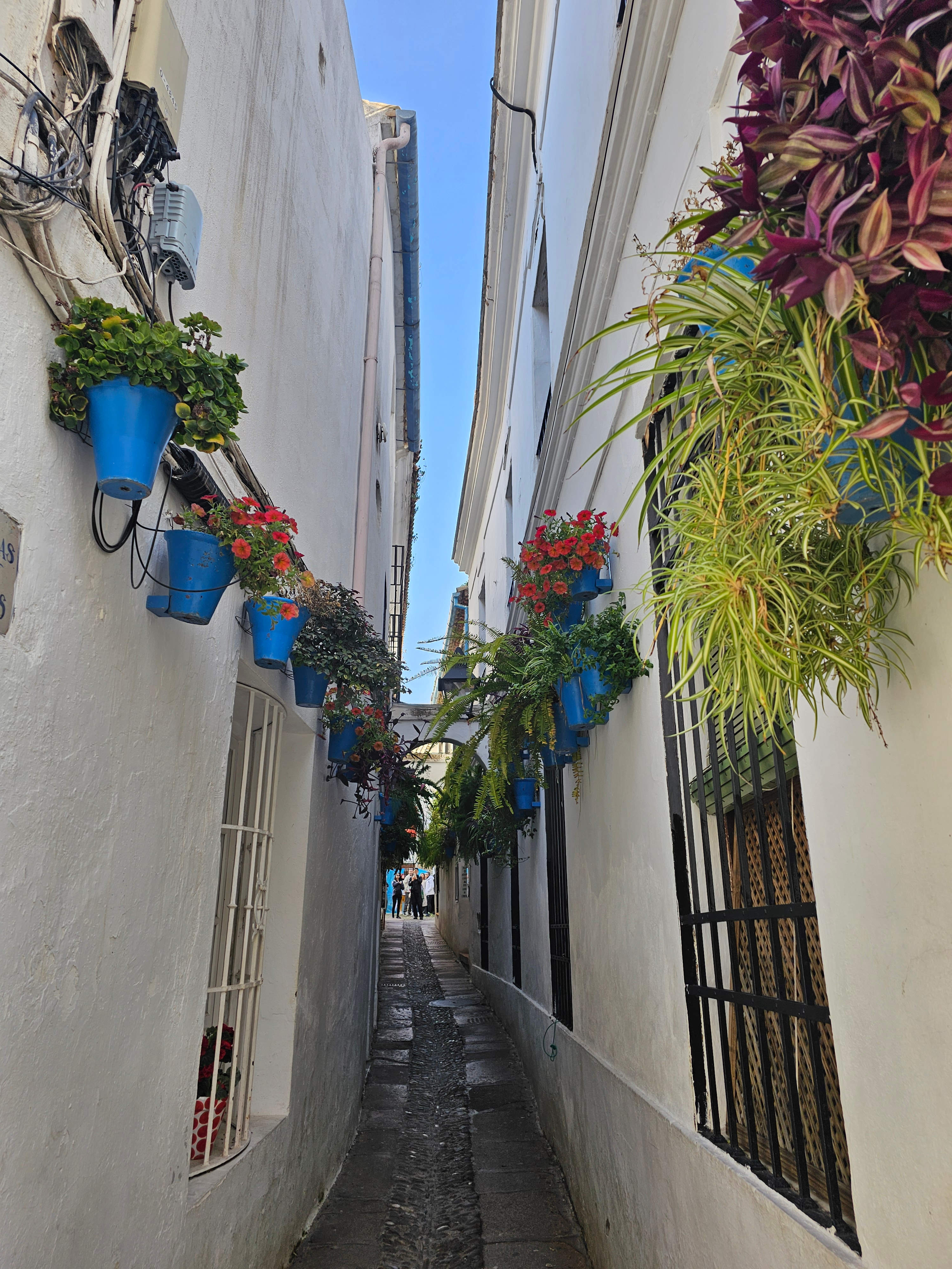 S_Spain